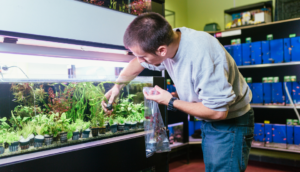 Maintaining Healthy Fish and Plants: A Guide to Testing Your Aquarium Water.