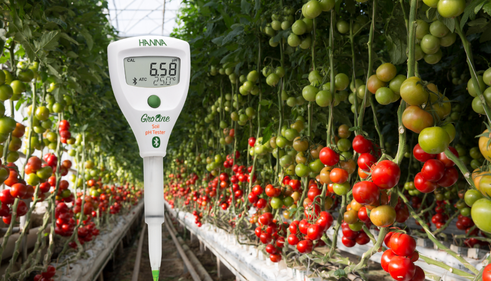 The Importance of pH Levels in Agriculture and Gardening