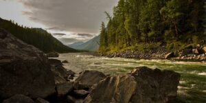 Transforming effluent into sustainability: Protecting communities and preserving the environment 