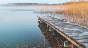 Understanding the Difference Between Conductivity, TDS, and Salinity